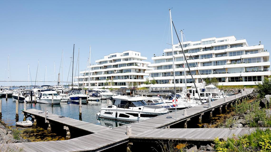 _K9A1866-Edit copy.jpg